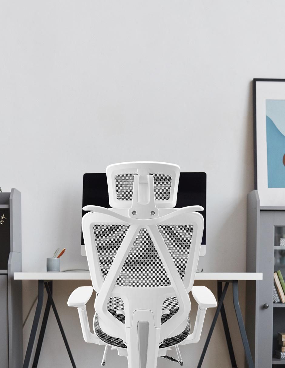 Silla de escritorio Desk Chair 5
