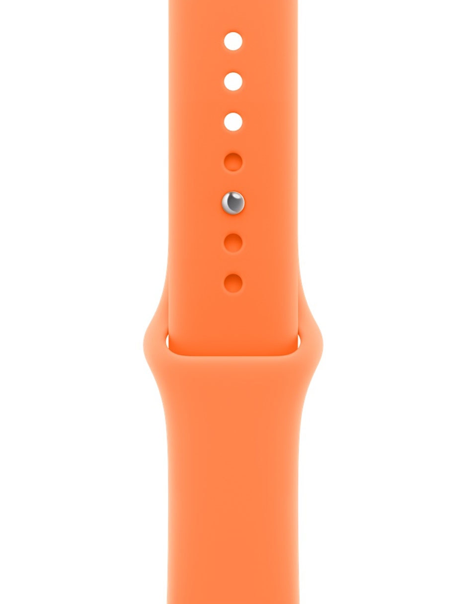 Correa Smartwatch Apple