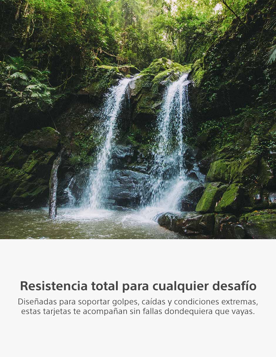 Memoria CFexpress capacidad 240 GB 3