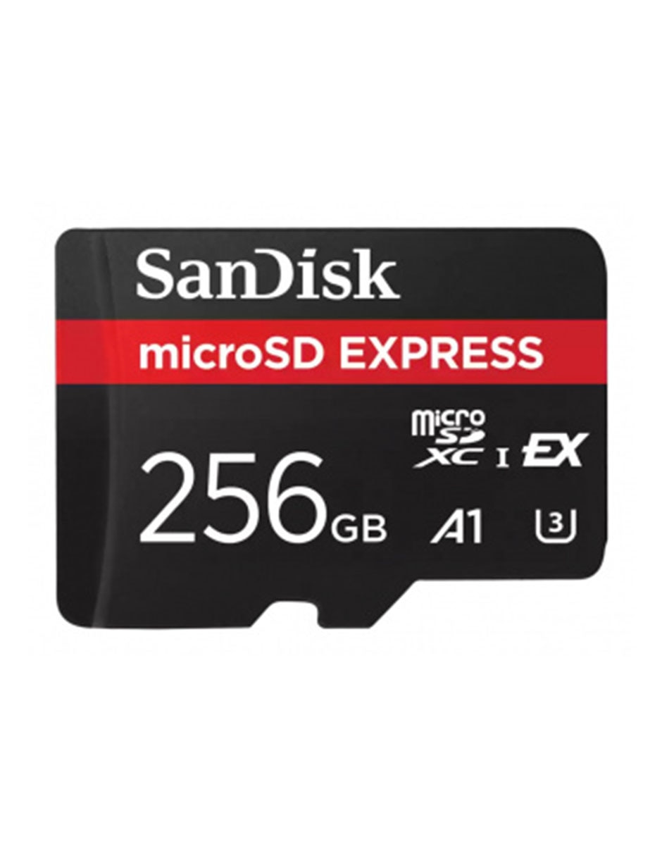 Memoria Micro SD capacidad 256 GB 1