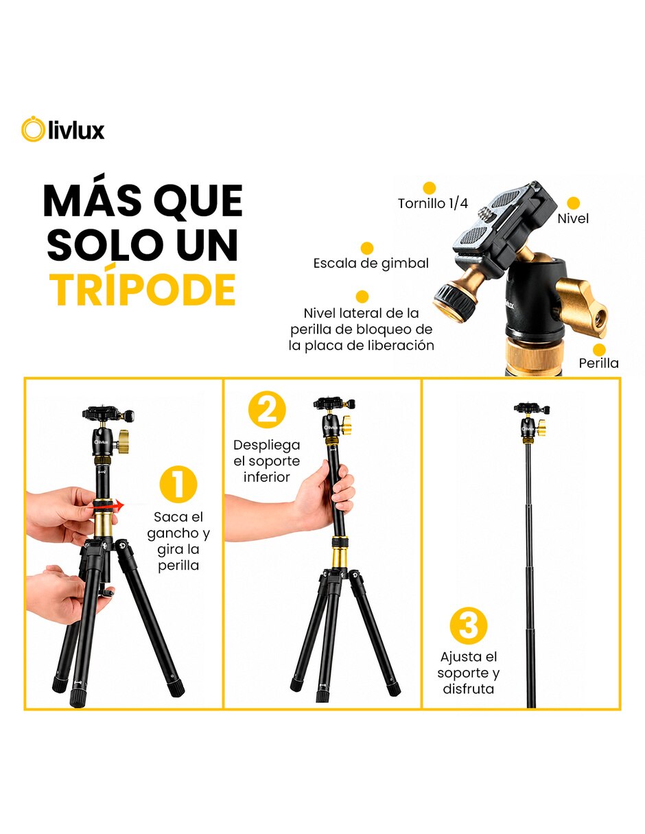 TP 100 con (si aplica) Sí 2