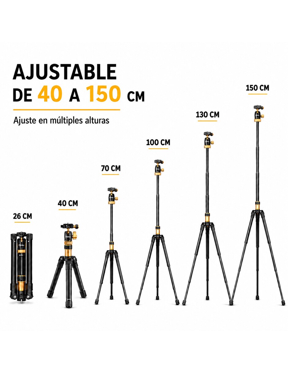 TP 100 con (si aplica) Sí 10