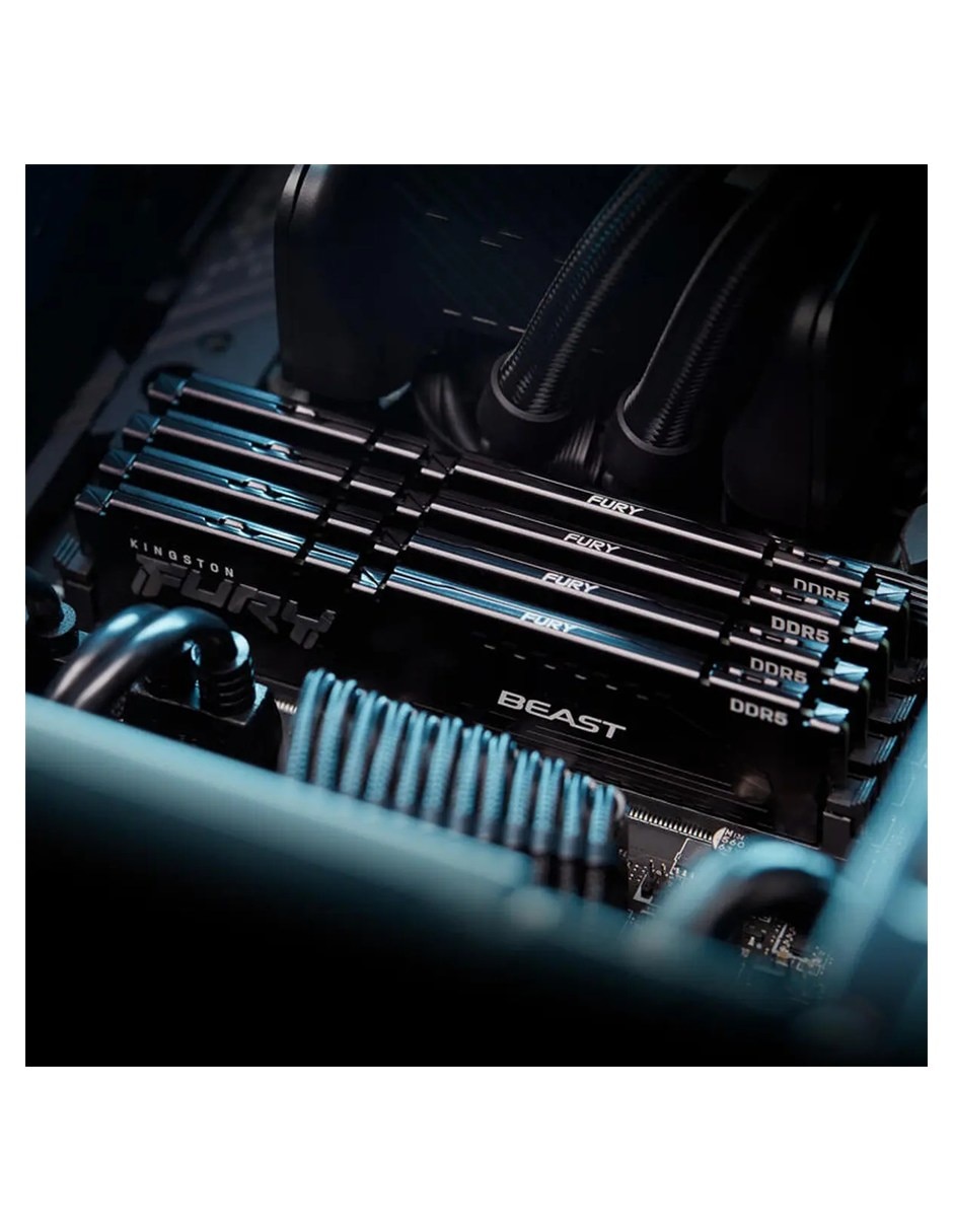 Memoria RAM DIMM DDR5 32 GB KF556C36BBE2-32 Individual 2