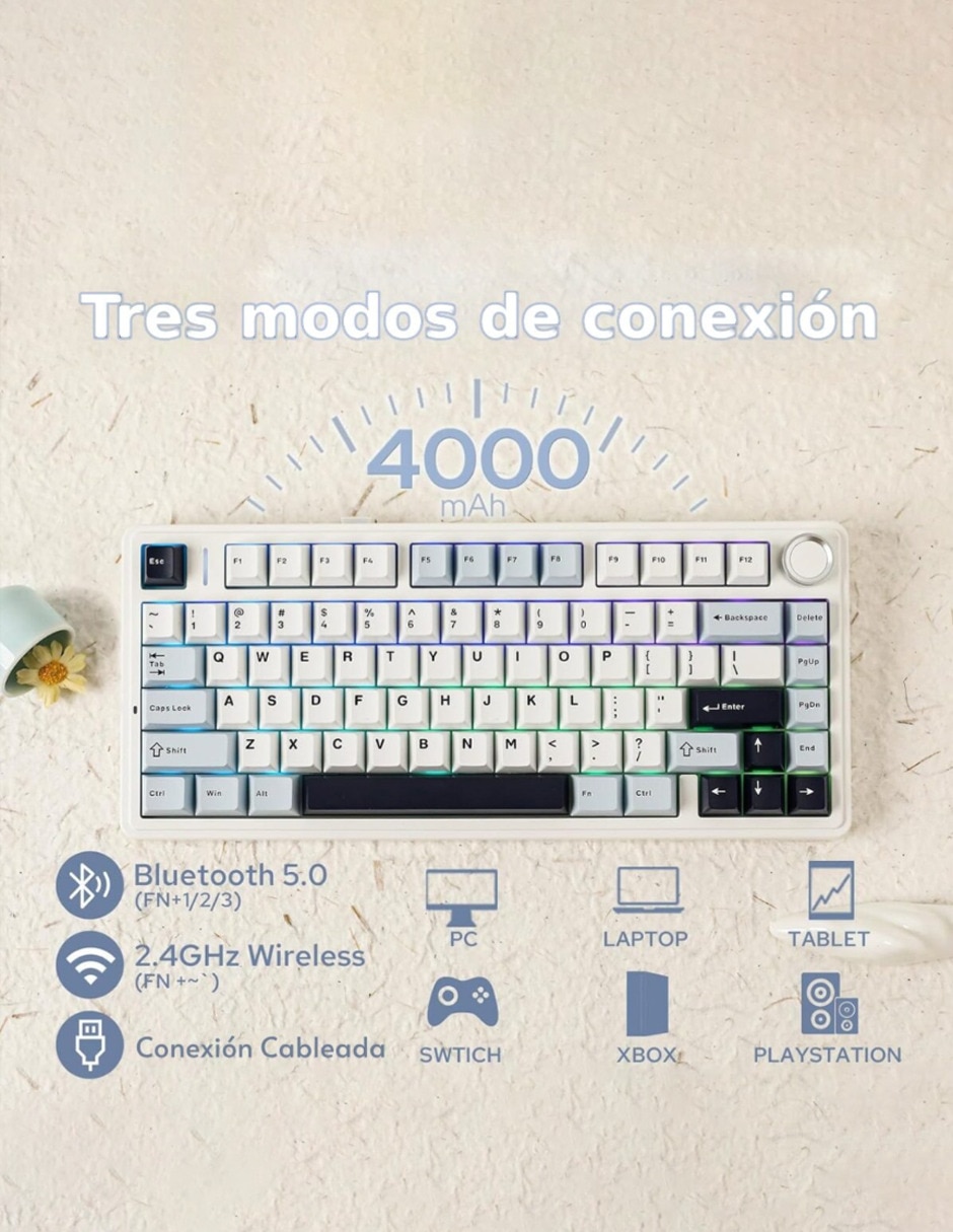Teclado gamer usb-c qwert inglés con interruptor lineal (red black) f75 white/blue/black 4